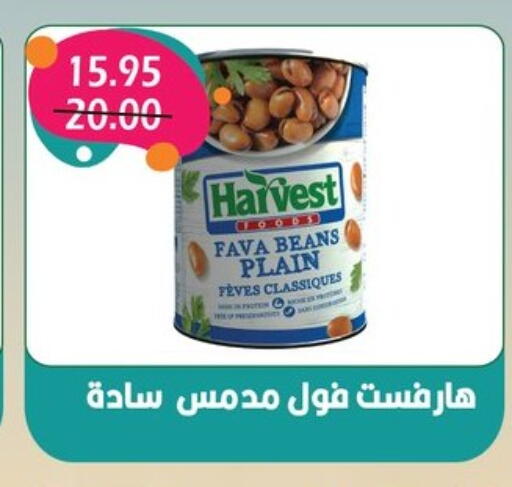 Fava Beans available at Bashayer hypermarket in Egypt - Cairo