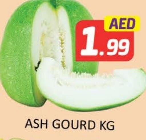 available at المدينة in الإمارات العربية المتحدة , الامارات - ٱلْعَيْن‎