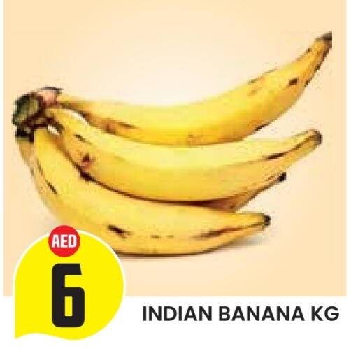 موز from India available at سنابل بني ياس in الإمارات العربية المتحدة , الامارات - ٱلْعَيْن‎