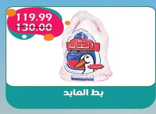 available at بشاير هايبرماركت in Egypt - القاهرة