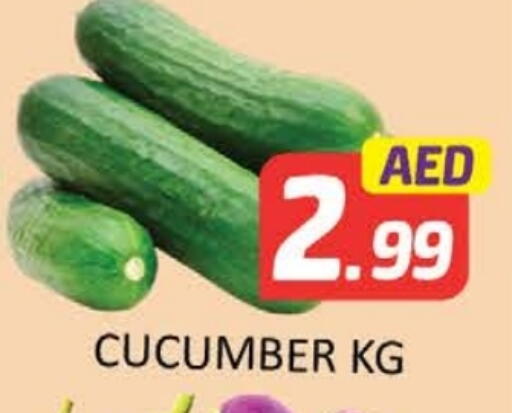 Cucumber available at المدينة in الإمارات العربية المتحدة , الامارات - ٱلْعَيْن‎