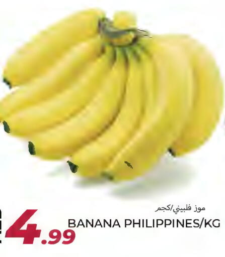 موز from Philippines available at  روابي ماركت عجمان in الإمارات العربية المتحدة , الامارات - الشارقة / عجمان