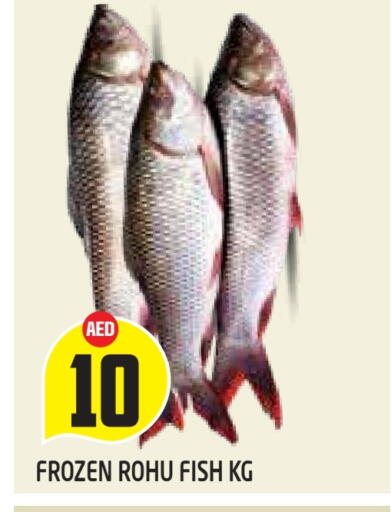 available at سنابل بني ياس in الإمارات العربية المتحدة , الامارات - ٱلْعَيْن‎