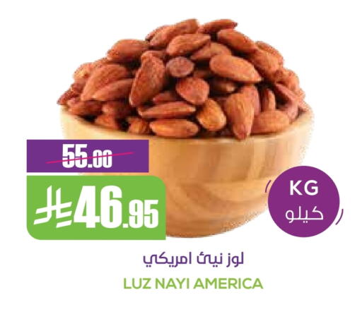 Dried Fruits & Dates in Sapt, Saudi Arabia Offers - Saudi Arabia available at Sapt in KSA, Saudi Arabia, Saudi - Buraidah