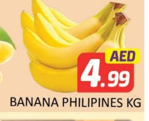 موز available at المدينة in الإمارات العربية المتحدة , الامارات - ٱلْفُجَيْرَة‎