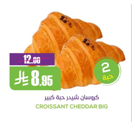 available at Sapt in KSA, Saudi Arabia, Saudi - Buraidah