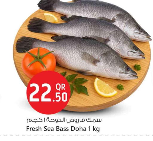 available at Safari Hypermarket in Qatar - Umm Salal