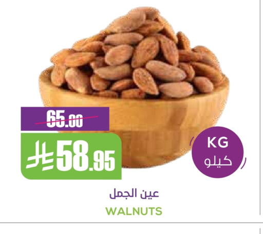 available at سبت in مملكة العربية السعودية, السعودية, سعودية - بريدة