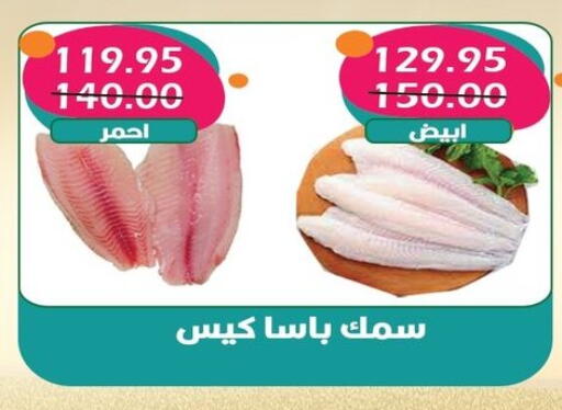 available at Bashayer hypermarket in Egypt - Cairo