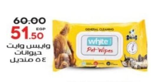 available at Galhom Market in Egypt - Cairo