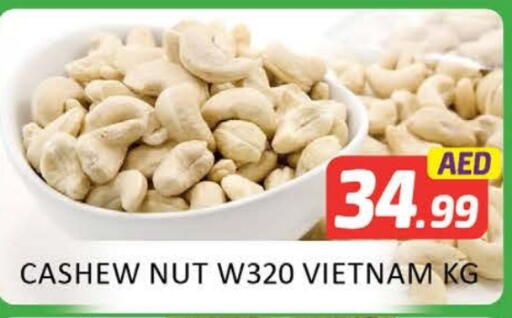 available at Al Madina  in UAE - Al Ain