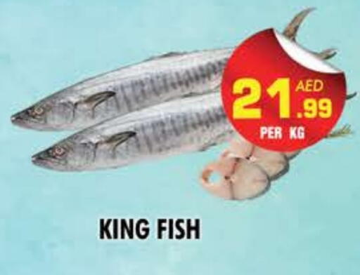 King Fish available at NIGHT TO NIGHT DEPARTMENT STORE in UAE - Sharjah / Ajman