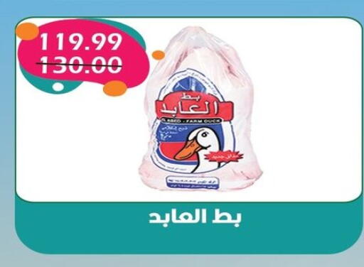 available at بشاير هايبرماركت in Egypt - القاهرة