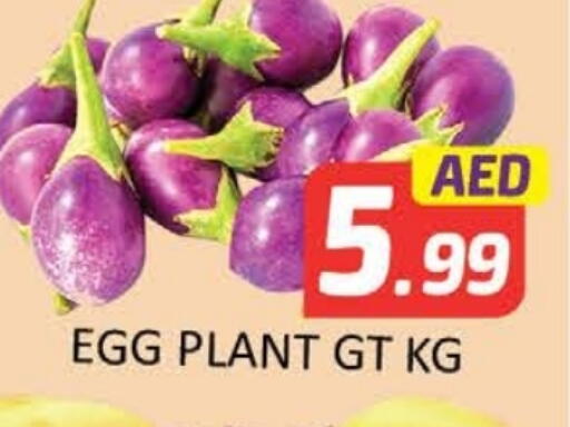available at المدينة in الإمارات العربية المتحدة , الامارات - ٱلْفُجَيْرَة‎