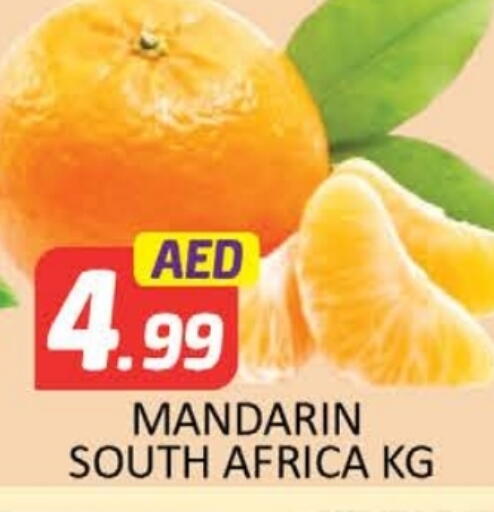 برتقال from South Africa available at المدينة in الإمارات العربية المتحدة , الامارات - ٱلْفُجَيْرَة‎