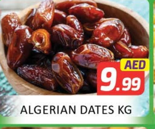 available at المدينة in الإمارات العربية المتحدة , الامارات - ٱلْعَيْن‎