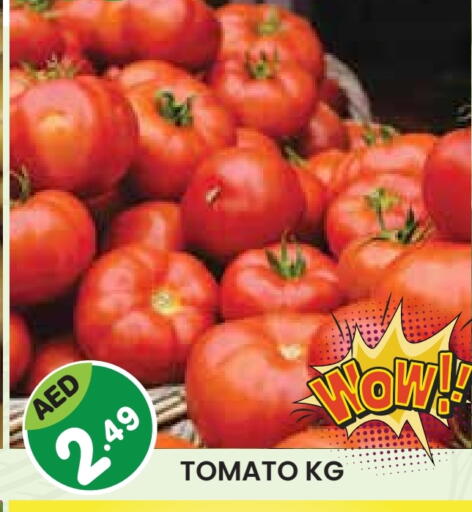Tomato available at Baniyas Spike  in UAE - Abu Dhabi