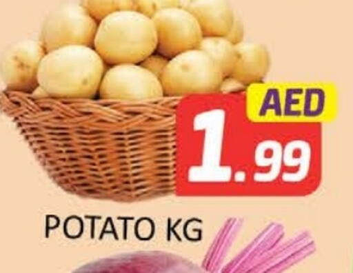 Potato available at المدينة in الإمارات العربية المتحدة , الامارات - ٱلْعَيْن‎