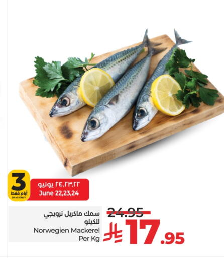Fresh Fish in LULU Hypermarket, Saudi Arabia Offers - Saudi Arabia available at LULU Hypermarket in KSA, Saudi Arabia, Saudi - Mecca