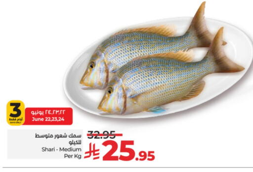 Fresh Fish in LULU Hypermarket, Saudi Arabia Offers - Saudi Arabia available at LULU Hypermarket in KSA, Saudi Arabia, Saudi - Mecca