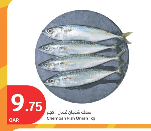 available at سيتي هايبرماركت in قطر - الوكرة
