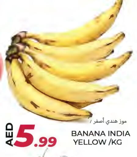 Banana from India available at Rawabi Market Ajman in UAE - Sharjah / Ajman