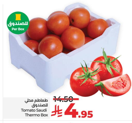 Tomato from Saudi Arabia available at LULU Hypermarket in KSA, Saudi Arabia, Saudi - Al-Kharj