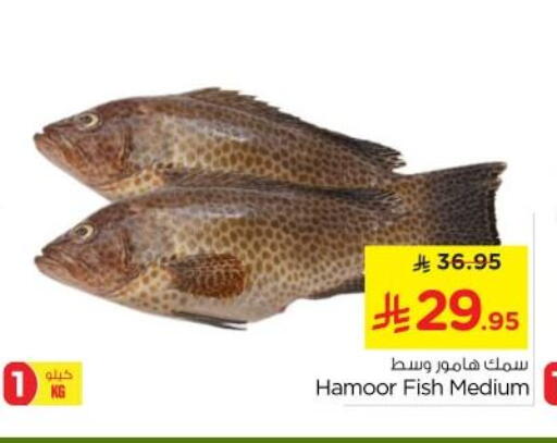 Fresh Fish in Nesto, Saudi Arabia Offers - Saudi Arabia available at Nesto in KSA, Saudi Arabia, Saudi - Al Majmaah