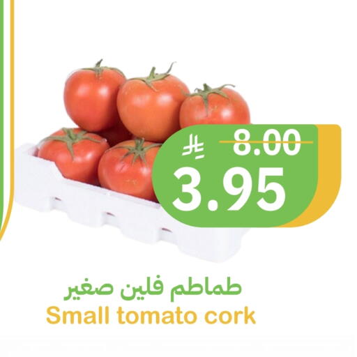 Tomato available at Qateba Markets in KSA, Saudi Arabia, Saudi - Buraidah