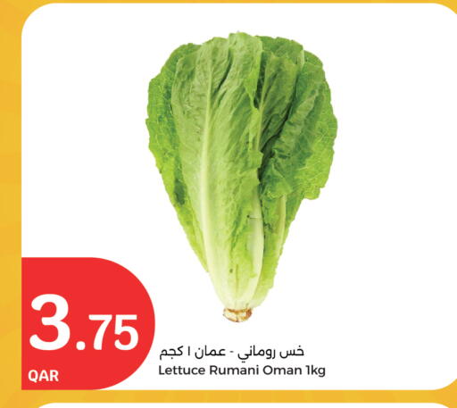 Lettuce from Oman available at سيتي هايبرماركت in قطر - الوكرة