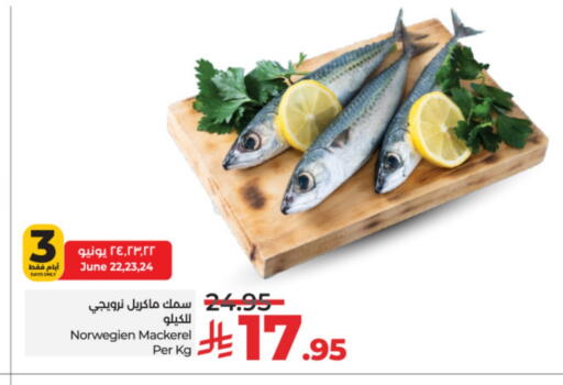 Fresh Fish in LULU Hypermarket, Saudi Arabia Offers - Saudi Arabia available at LULU Hypermarket in KSA, Saudi Arabia, Saudi - Mecca