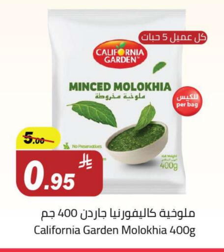 Frozen Fruits & Veg in Hypermarket Stor, Saudi Arabia Offers - Saudi Arabia available at Hypermarket Stor in KSA, Saudi Arabia, Saudi - Buraidah