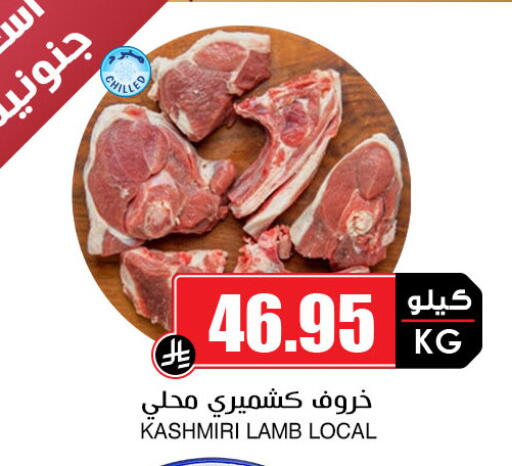 Mutton / Lamb available at Prime Supermarket in KSA, Saudi Arabia, Saudi - Medina