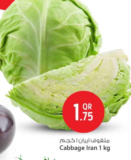 Fresh Vegetables in Safari Hypermarket, Qatar Offers - Qatar Cabbage from Iran available at Safari Hypermarket in Qatar - Al-Shahaniya