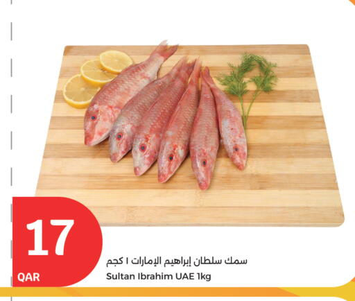 available at سيتي هايبرماركت in قطر - الوكرة