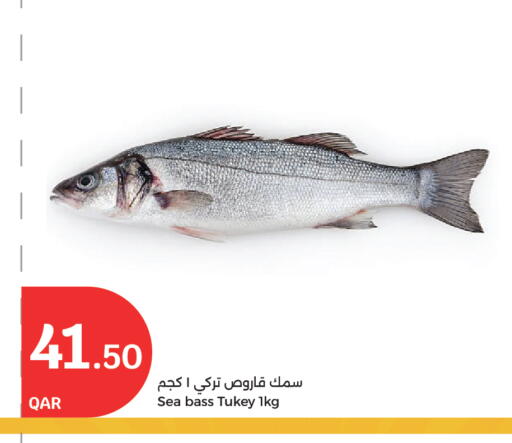 available at سيتي هايبرماركت in قطر - الوكرة