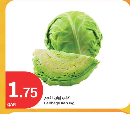 Cabbage from Iran available at City Hypermarket in Qatar - Doha