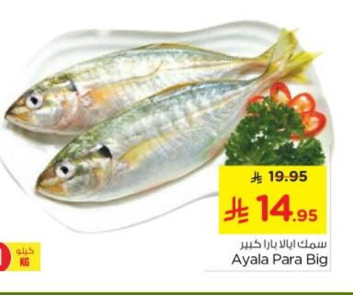 Fresh Fish in Nesto, Saudi Arabia Offers - Saudi Arabia available at Nesto in KSA, Saudi Arabia, Saudi - Al Majmaah