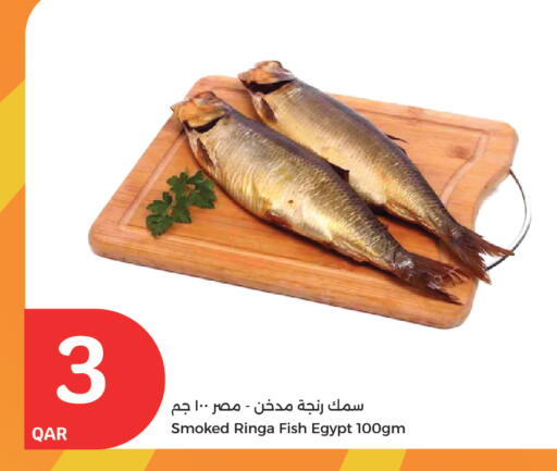 available at سيتي هايبرماركت in قطر - الوكرة