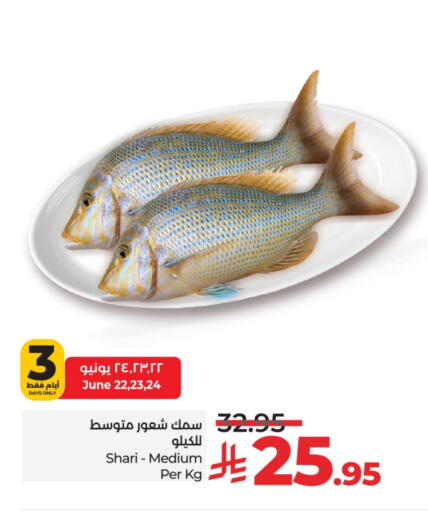 Fresh Fish in LULU Hypermarket, Saudi Arabia Offers - Saudi Arabia available at LULU Hypermarket in KSA, Saudi Arabia, Saudi - Mecca