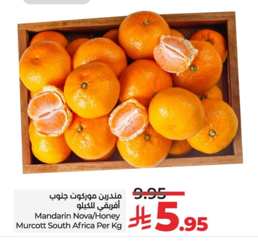 Orange from South Africa available at LULU Hypermarket in KSA, Saudi Arabia, Saudi - Al-Kharj