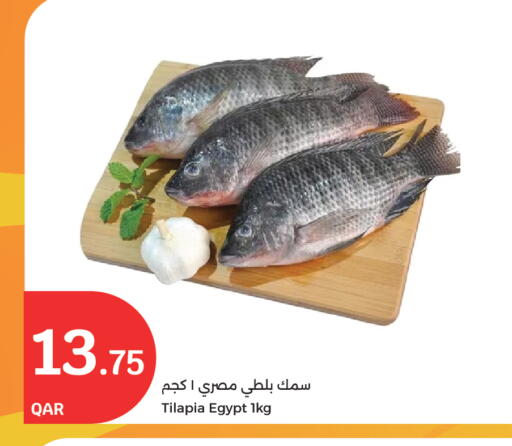 available at سيتي هايبرماركت in قطر - الوكرة