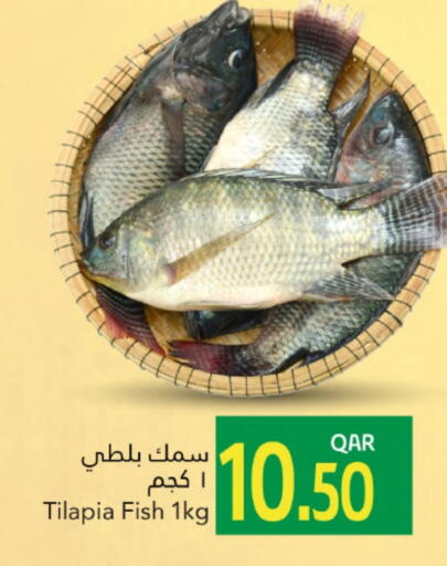 available at جلف فود سنتر in قطر - الوكرة