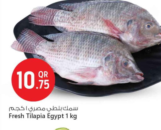 available at سفاري هايبر ماركت in قطر - الوكرة