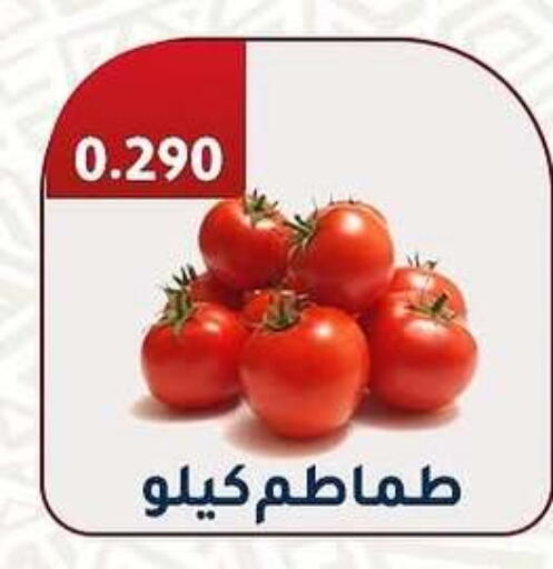 Tomato available at Al Fahaheel Co - Op Society in Kuwait - Kuwait City