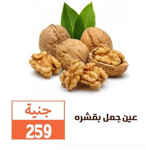 available at Ghallab Market in Egypt - Cairo