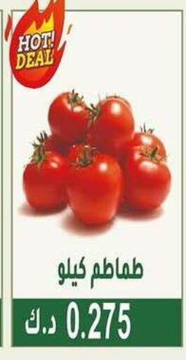 Tomato available at Granada Co-operative Association in Kuwait - Kuwait City
