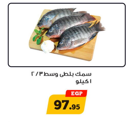 available at Awlad Ragab in Egypt - Cairo