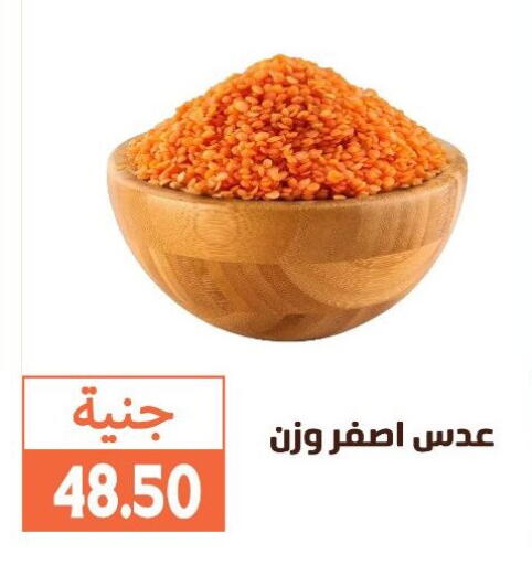 available at Ghallab Market in Egypt - Cairo