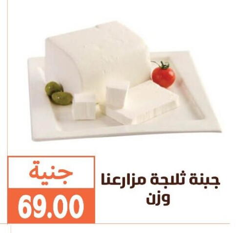 available at Ghallab Market in Egypt - Cairo